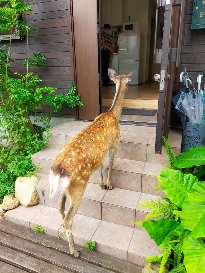 Mini Inn Nara- - 外国人向け - 日本人予約不可 外观 照片