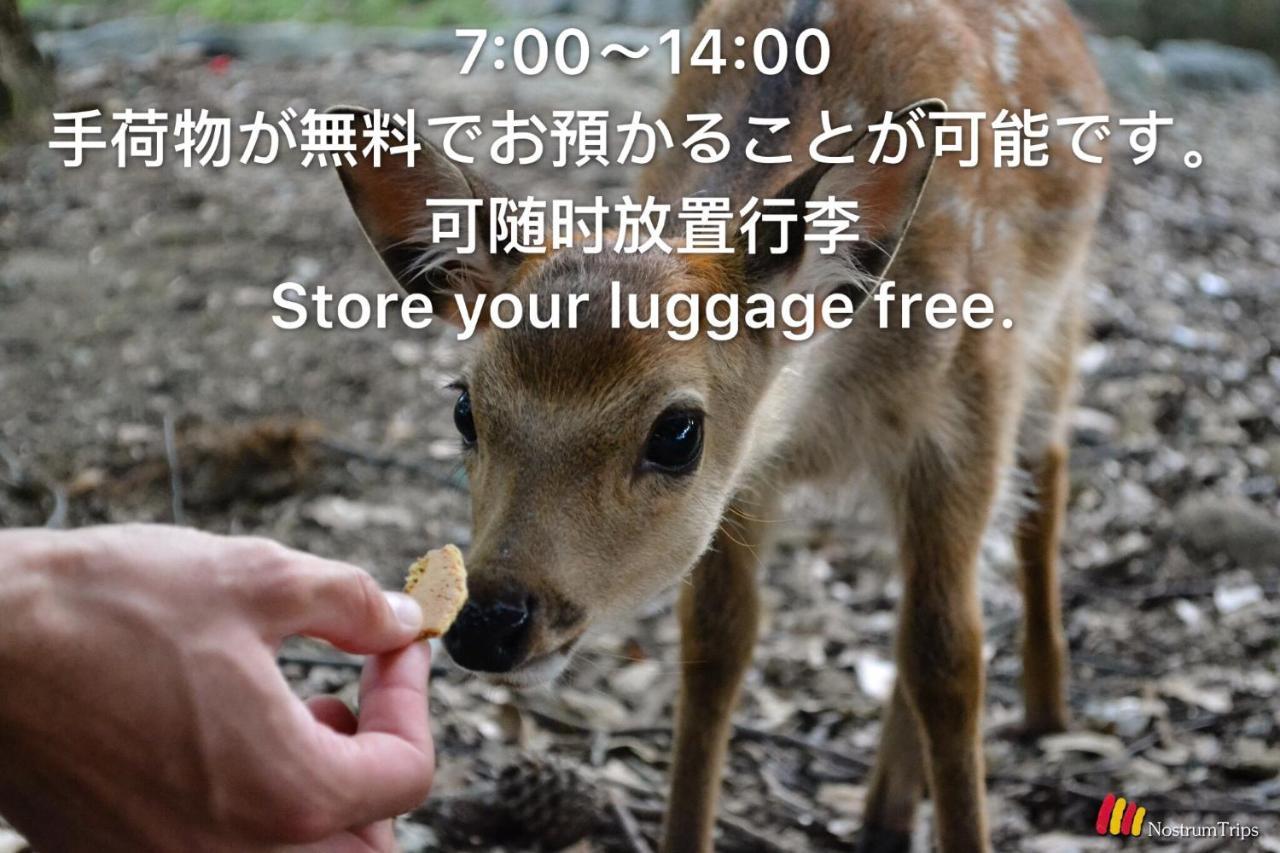 Mini Inn Nara- - 外国人向け - 日本人予約不可 外观 照片